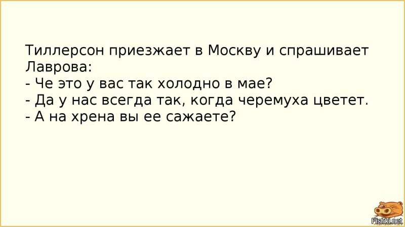 Солянка от 25.04.2025