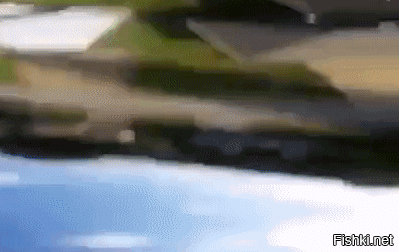 Солянка от 25.04.2025