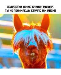 Я вот посмотрел (на смартфоне) этот фильм, некоторое время назад. 
Вот как-то... Даже не запомнился. 
Не знаю, с чего там фанатеют подростки. 
Скорее всего, они просто за любой кипишь, кроме голодовки. 
Уровень "подростковая мода". 
Бессмысленная и беспощадная. 
Как и во все поколения, впрочем.