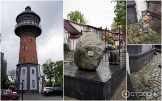 Тю... Так то в Малайзии-там тепло... А вот у нас тоже есть музей. Насчёт 4 тыс экспонатов не скажу, но охранник там точно живой. Рыжий. Вот!
