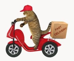Не, ну всё правильно, коты какой-нибудь Royal Canin ждут, или Вискас, на худой конец, а эти придурки какую-то xрeнь всё время доставляют