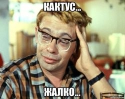 Кожа из кактусов, с заботой о животных и окружающей среде
