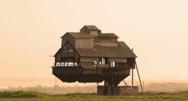 Картошку говорите сортировали ?