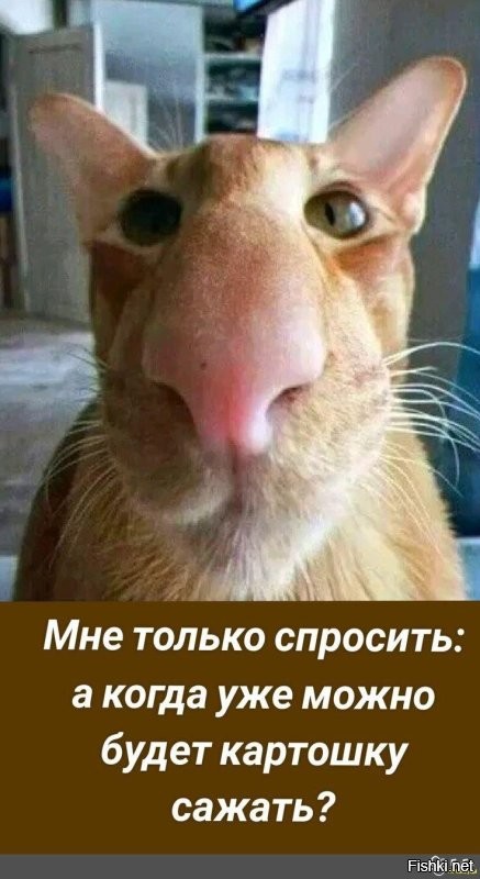 С добрым утром)
