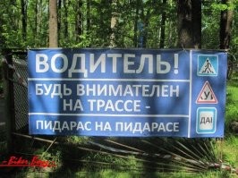 Большая тарелка улыбатора