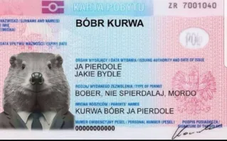 Бобра весом 25 кг пришлось вывозить на тракторе с частного участка