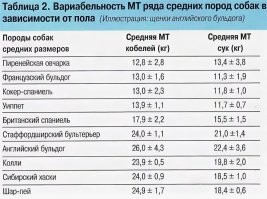 Я тоже удивился. Вот таблица собак по масе тела. Шарпей или сибирская хаски и бобр - размеры совсем разные