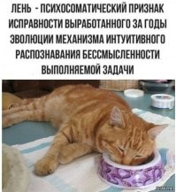 Большая тарелка улыбатора