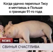 Политическая рубрика от&nbsp;NAZARETH за&nbsp;25.04.25. Новости, события, комментарии - 1829