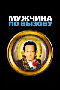 Кино такое было. "Мужчина по вызову" называется