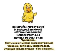 А вдруг ты не знал…