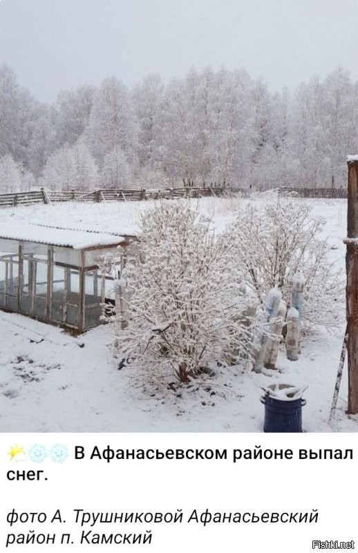 В эти дни у нас на севере области