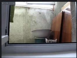 Просто гифки, всякие и&nbsp;разные