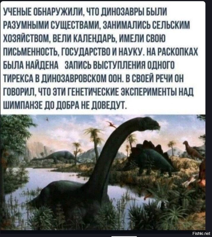 Солянка от 27.04.2025