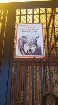 19 забавных объявлений, которые создавали люди с повышенным чувством юмора