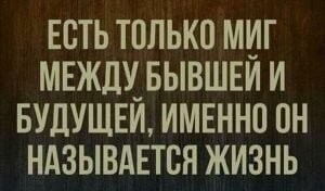 Мужчина, вернувшись из командировки в новую квартиру, обнаружил, что жена всё вынесла
