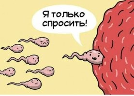 В Лос-Анджелесе провели первую в мире гонку сперматозоидов