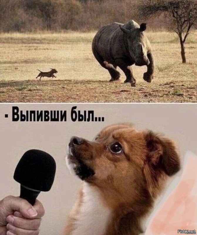 Солянка от 28.04.2025