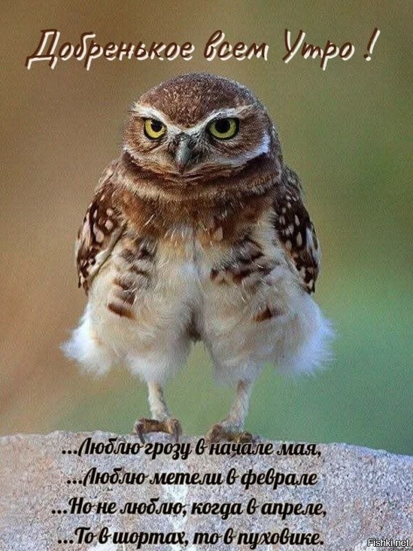 С добрым утром