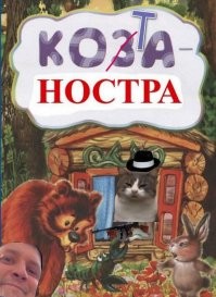 Мужчина купил дом в Италии и в качестве подарка получил местных деревенских котов