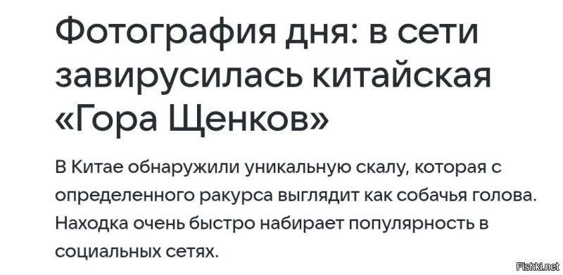 Солянка от 28.04.2025