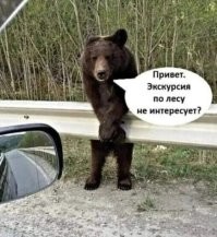Он с предложением,а этот уезжает..
