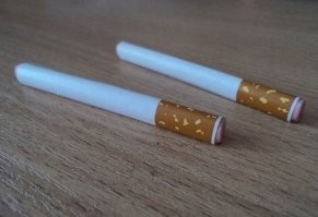 А минусанули, тупые безмозглые ублюдки 20хх годов рождения.
