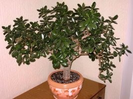 А это уже не работает ?