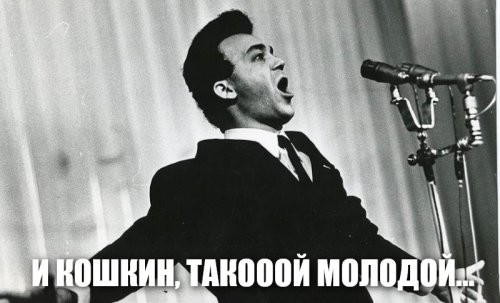 Стюардессы