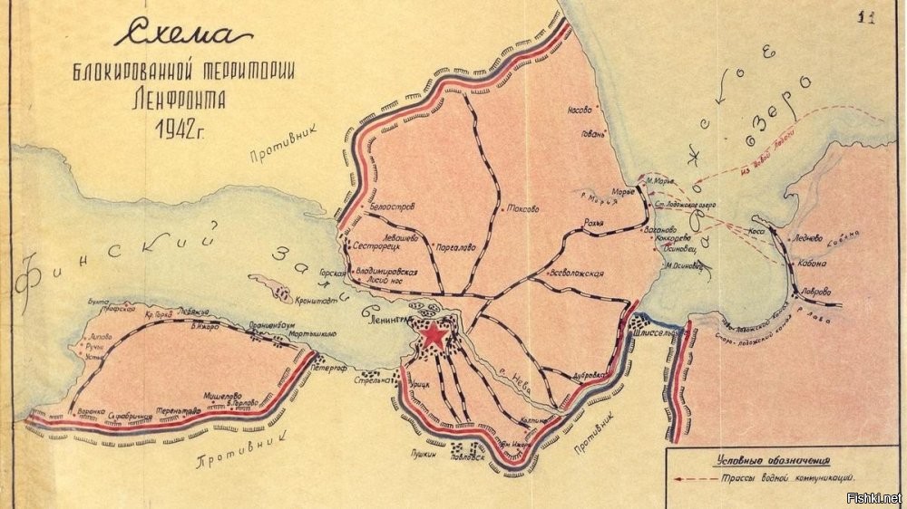 Вот карта 1942 года. Финны с севера стояли вдоль старой границы ("спрямив" ее в свою пользу). Можете почитать - боев там не было. А вот карты итогов Зимней войны. Все территориальные приобретения были отданы назад.

Тема репрессий - это уже другая тема. Вызвало сомнения соотношение репрессированных – 3/4? Я его примерно написал, наверно, потери были дальше больше. В любом случае это как раз очень легко проверить, вот детали.
Есть поименная информация о репрессиях на 1938 (если кто-то получил звание маршала после 1938 или был репрессирован после 1938, в этом списке его не будет). Я могу привести имена всех по каждому из списков, с информацией кто именно был репрессирован. Списки длинные, выберите категорию и я приведу все имена (как "всго" командиров, так и репрессированных). Размещать длинные простыни неинтересно.
МАРШАЛЫ СОВЕТСКОГО СОЮЗА (из 5 репрессированы 3)
КОМАНДАРМЫ 1-го РАНГА (из 5 репрессированы 3)
КОМАНДАРМЫ 2-го РАНГА (11, репрессированы все)
ФЛАГМАНЫ ФЛОТА 1-го РАНГА (2, репрессированы все)
ФЛАГМАНЫ ФЛОТА 2-го РАНГА (2, репрессированы все)
ФЛАГМАНЫ 1-го РАНГА (из 6 репрессированы 5)
АРМЕЙСКИЙ КОМИССАР 1-го РАНГА (1, репрессирован)
АРМЕЙСКИЕ КОМИССАРЫ 2-го РАНГА (15, репрессированы все)
КОМКОРЫ (из 57 комкоров 50 репрессированы)

Ну или вот поименные списки репрессированных: 
(но это за все года, включая после 1938, так что количество репрессированных больше).
«он победил, а значит все сделал правильно» - ну да, ну да, вот только положив по разным данным от 22 до 28 миллионов советских граждан – потому что армия была совершенно не готова в первую очередь благодаря его репрессиям!