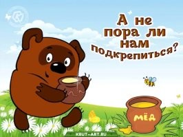 Медведь разгромил пасеку в Ингушетии