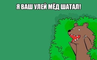 Медведь разгромил пасеку в Ингушетии