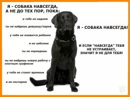 В Москве женщина бросила в подъезде у лифтов своих питомцев