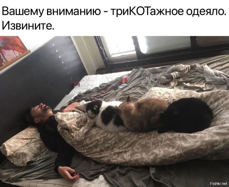 Солянка от 30.04.2025