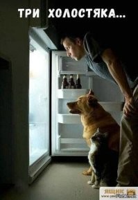 Смешные картинки