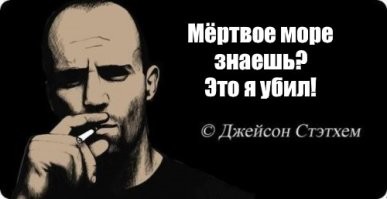 10 занятных фактов обо всём на свете