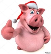 Музей свиней в Штутгарте – место, где хрюшки стали арт-объектами