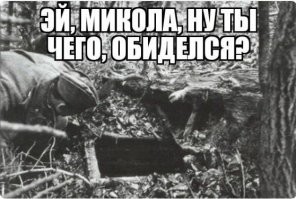 О политике и не только