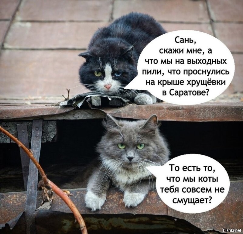 Завтра