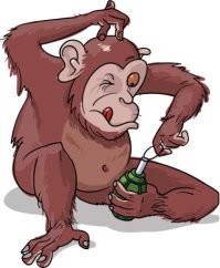 Ну а как-же их мото-братство один влетел ,а другим по хер,  сразу сыбанты повключали с ха -ха.Сезон только начинается