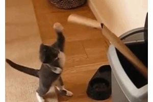 Просто гифки, всякие и&nbsp;разные