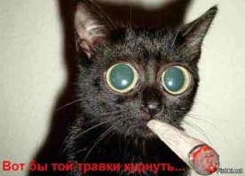 В Турции полиция при утилизации 20 тонн наркотиков чуть не перетравила целый город