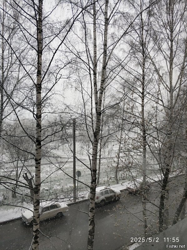 Все, замело
