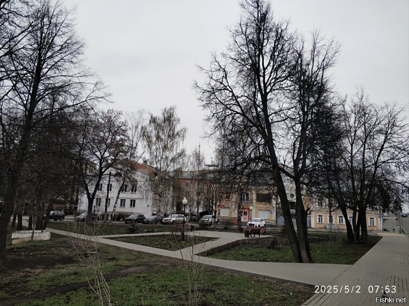 Вот "сейчашние" фоточки