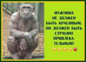 Шрамы это плюсом к брутальности и ...