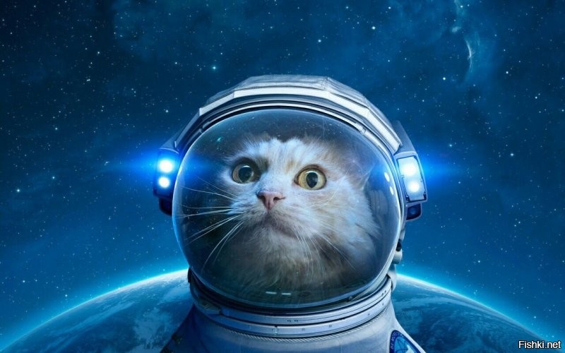 Сыктывкарский космонавт