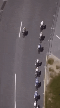 Да, в команде Quick Step, в те годы, были самые сильнейшие спринтеры.
Похоже Элиа Вивиани выиграл.