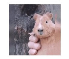 )
