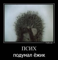 В Испании мигрант попытался ограбить китайского туриста — но нарвался на карате-пацана