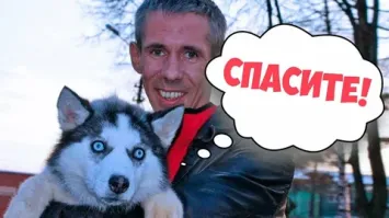 Реакция собаки на кольцо для помолвки